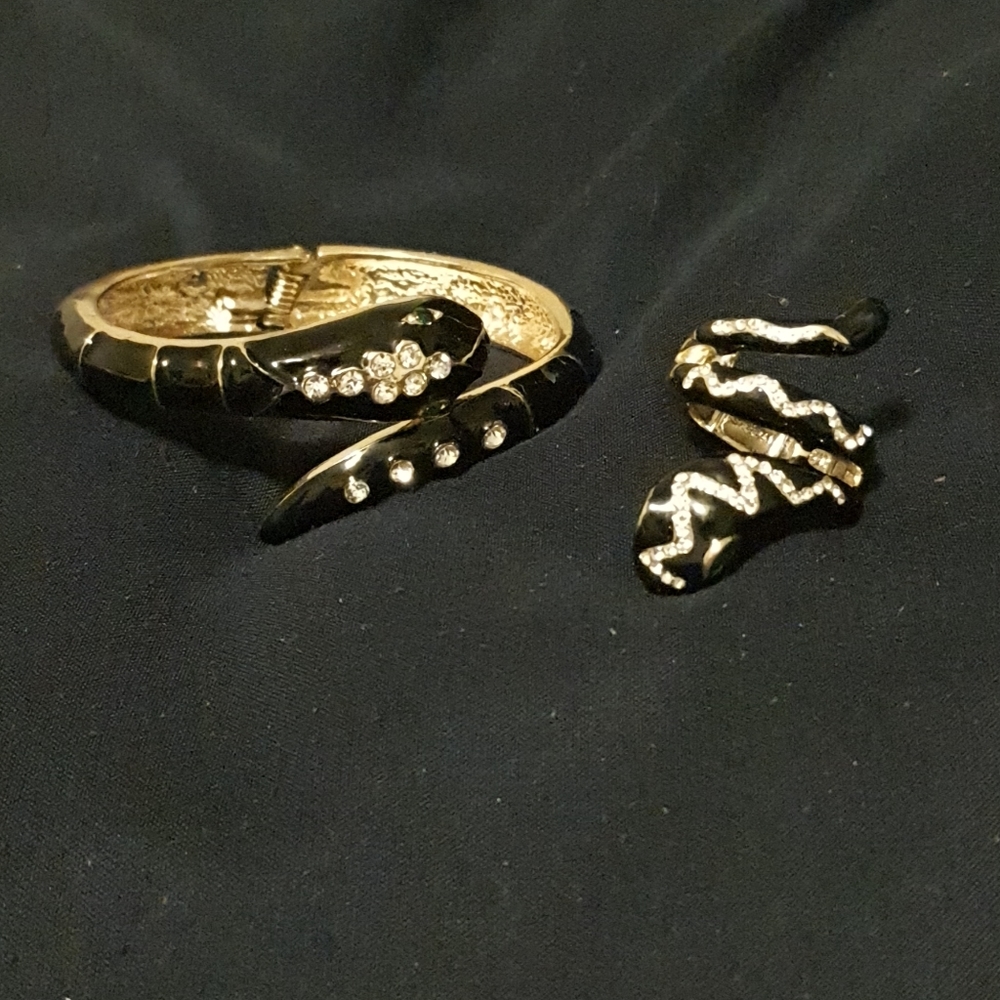 Black Snake Ring and Bracelet Set